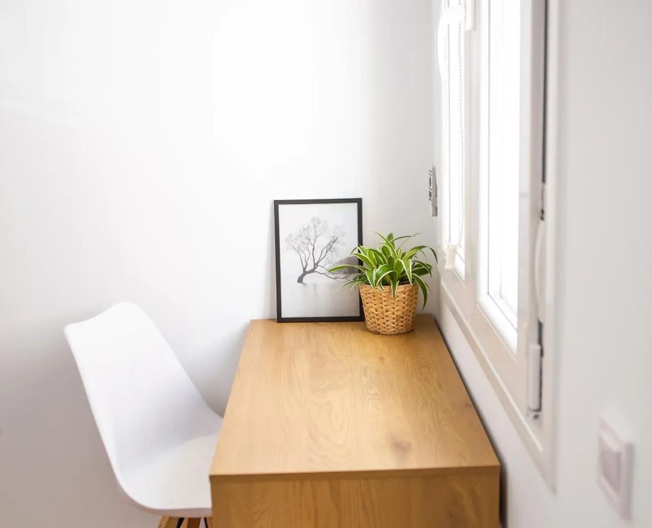 Apartamiento Con Naranjas Málaga