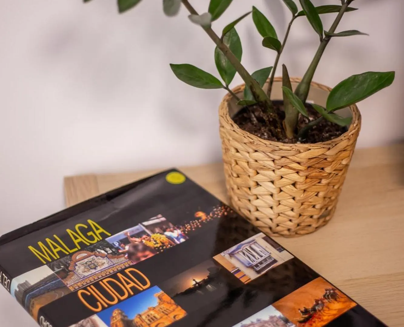 Apartamiento Con Naranjas Malaga Spain